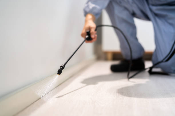 Licensed Rodent Control service in West Point, NE - Nex Pest Control