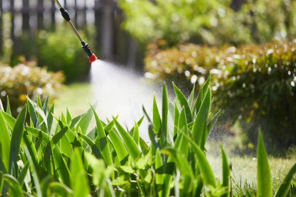 24/7 Emergency Rodent Control experts in West Point, NE