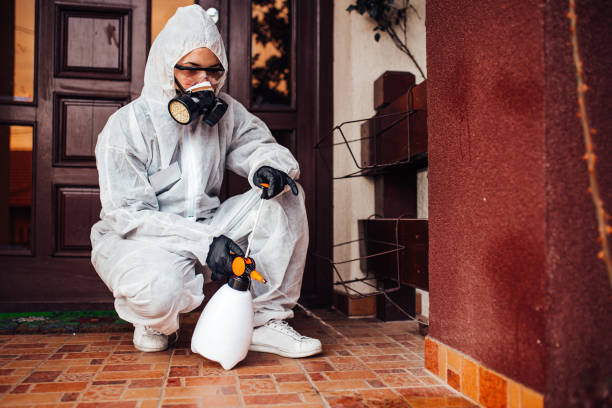 Reliable Rodent Control contractor in West Point, NE by Nex Pest Control